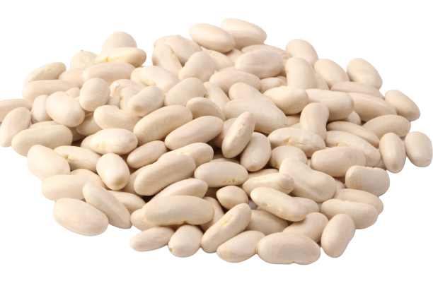 White Kidney Beans