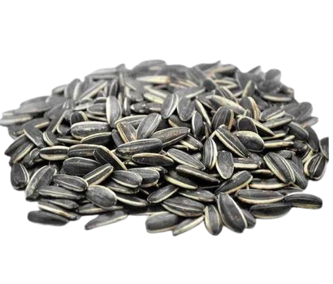 Sunflower Seeds